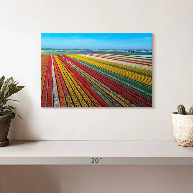 Ferme de tulipes sans fin Alvord, H 8 po x l 12 po
