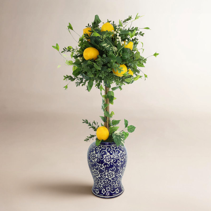 Lemon Topiary in Decorative Vase