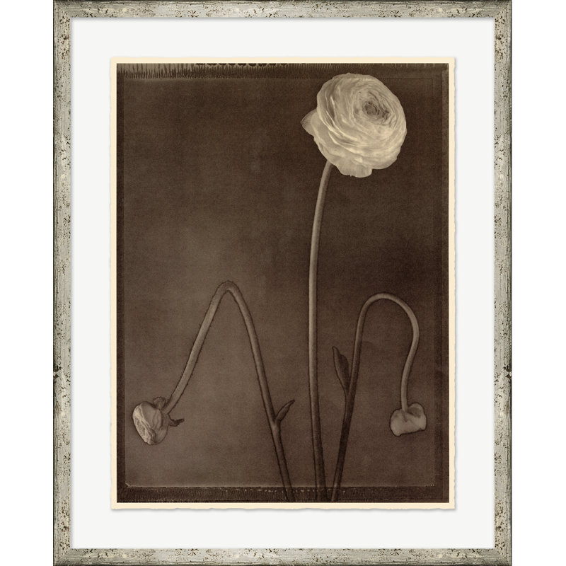 Sepia Flowers Print by Bespoke By Baker