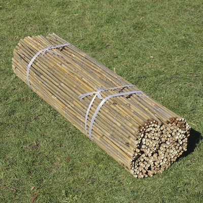 Dabria Bamboo