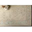 Daucourt Wool Oriental Area Rug-749283399