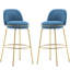 Métal bleu et doré de 2, cadre, repose-pieds pour des conversations prolongées, forme de chaise, motif uni, silhouette en mousse, dossier à profil bas, construction,