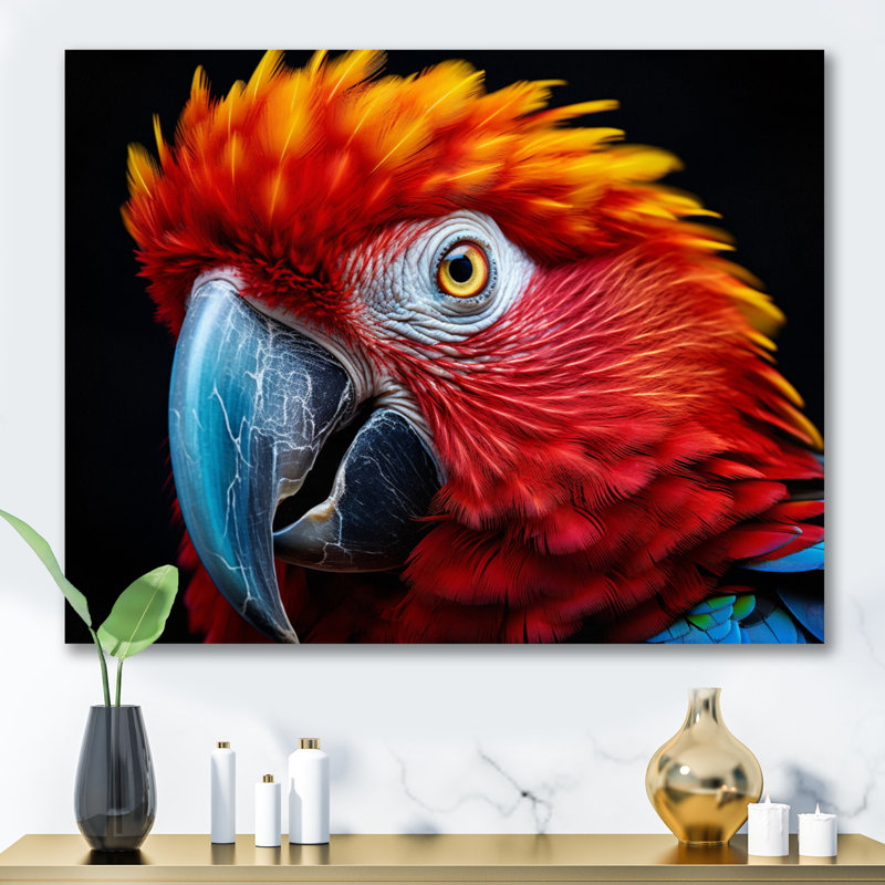 Perroquet rouge perroquet coloré sur toile, Toile tendue, H 16 po x l 32 po x P 1 po