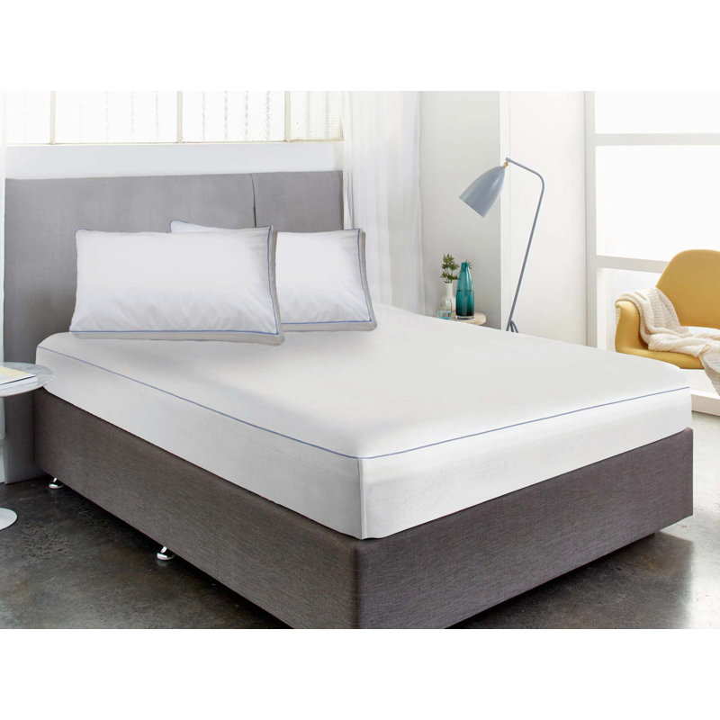 Alysia Waterproof Fitted Mattress Protector Mattress Protector Case Pack, Twin