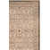 Tuthill Performance Oriental Rug