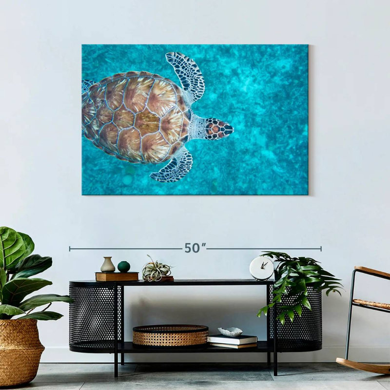 Natation tortue imbriquée, H 30 po x l 45 po
