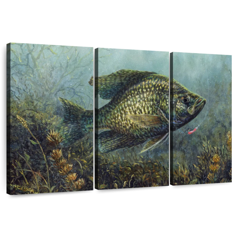 Brampt Black Crappie, 28" H x 45" W