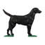 Large Bell w/ Black Lab-420554935