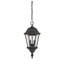 Lanterne suspendue d’extérieur 2 lumières Syliva-26243692