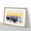 Mount Seymour in Canada - Framed Print-56891322-56891320