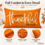 Pillow Cover