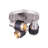 DALTON 3 Light Ceiling Light