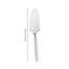 Fantasia Cake Server-39022083