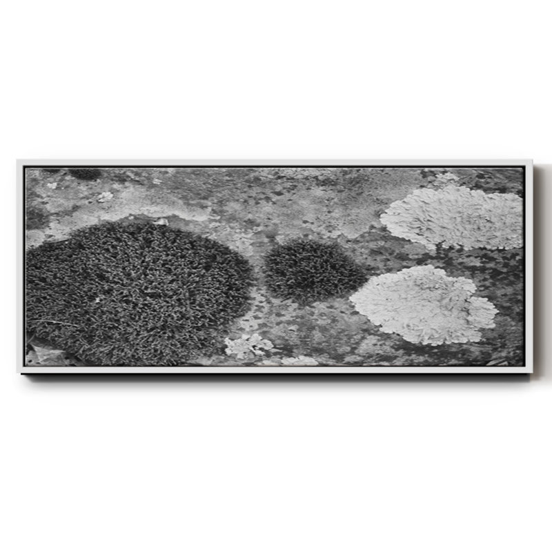 Found Textures XIX- Framed Canvas