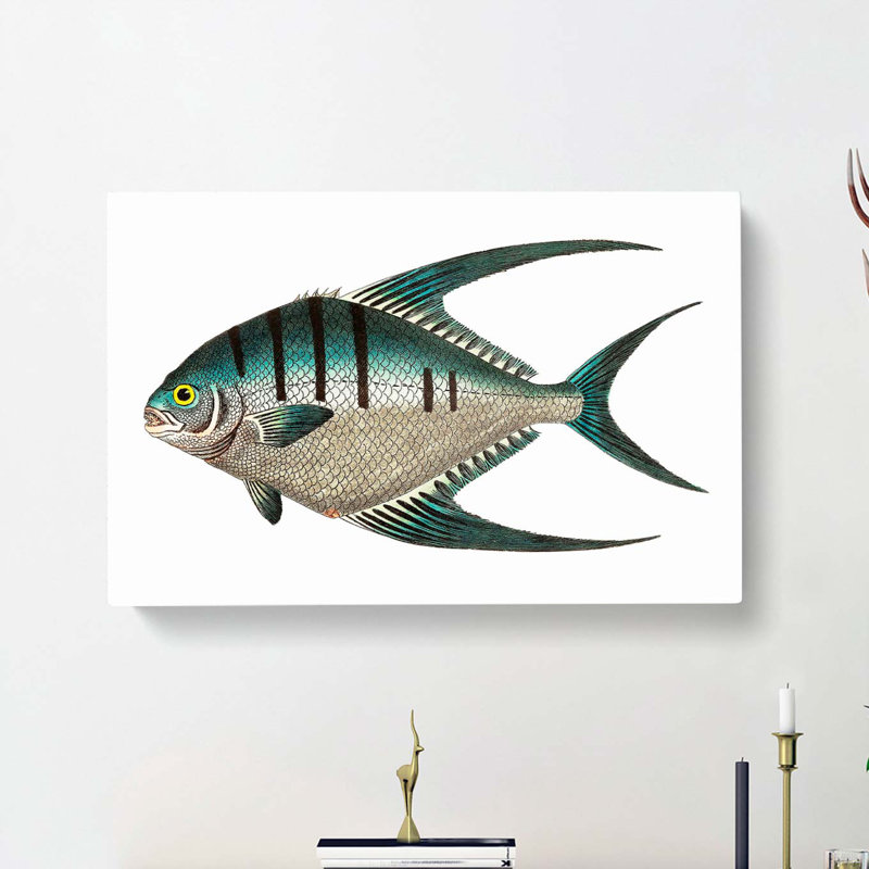 Glaucous Butterflyfish by George Shaw - Wrapped Canvas Painting Print, 40cm H x 60cm W x 3cm D