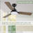 Lallu 44'' Ceiling Fan with LED Lights