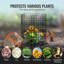 Metal Plant Support