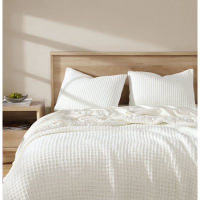 Snug Comforter