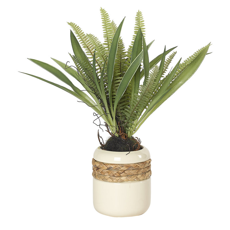 Jardinière moyenne en céramique avec détails tressés, H 15,5 po x l 16,5 po x P 16,5 po