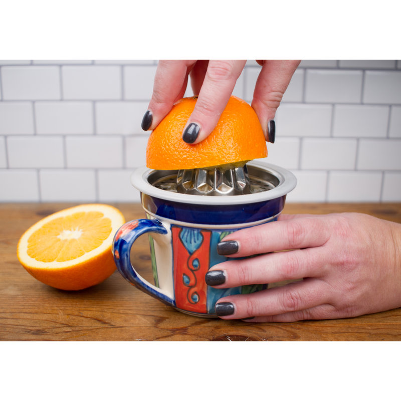 Stainless Steel Citrus Juicer with Silicone Rim, 8-inch