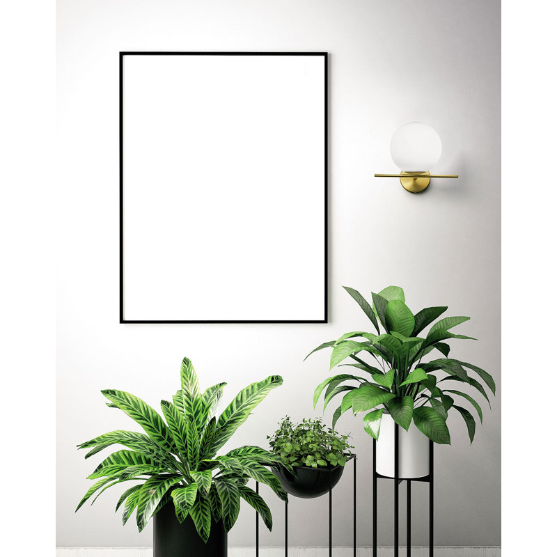 Mira Vista Armed Sconce