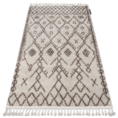 Moroccan Area Rug