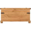 Castillon Blanket Chest