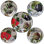 Ensemble de 5 bols à pâtes Certified International Botanical Veggies