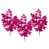 Rose est en rupture de stock