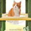 Arbre à chat 68,5 po H Cheadle