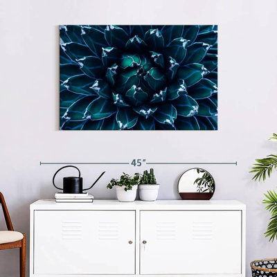 Agave Harnek