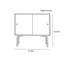 Simple Color-Blocked Double-Door Accent Cabinet