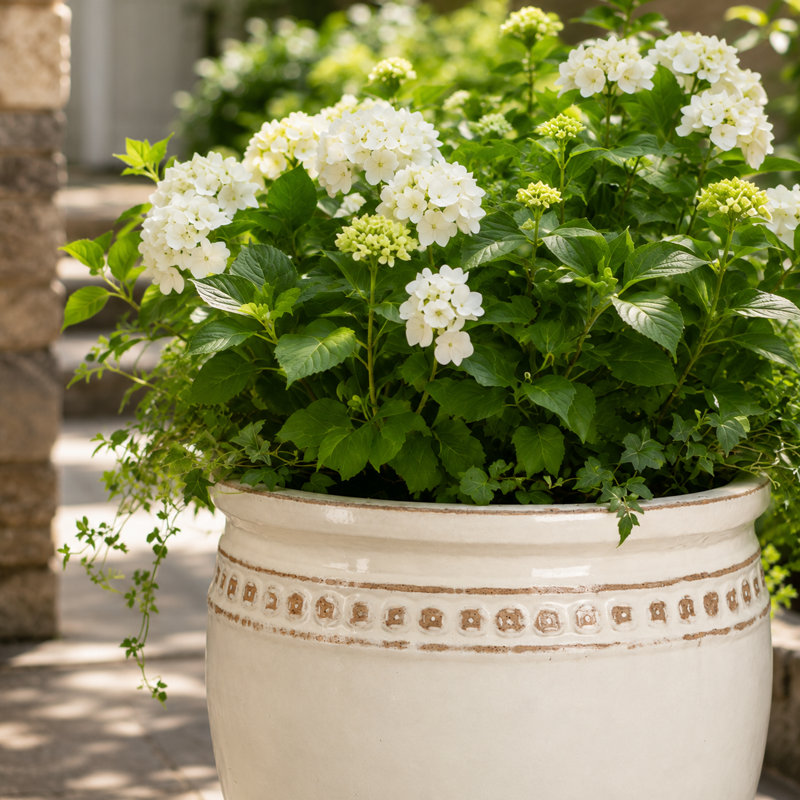 Pot à monnaie de 61 cm (24 po) - Blanc antique