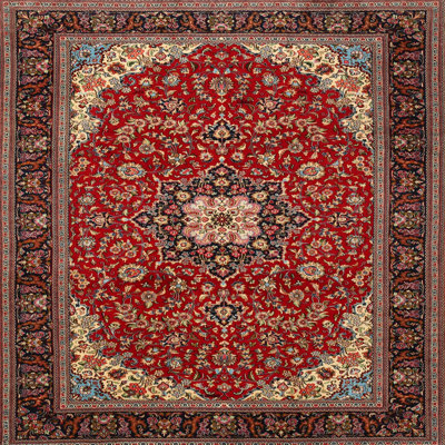 Cayslee Oriental Indoor Rug