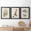 Pl. 63 mouchoirs aux yeux blancs - ensemble de 3 impressions sur toile encadrées-1466172692-1466172695