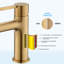 Single-Hole Single-handle Bathroom Faucet-73243213