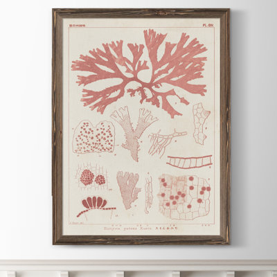 « antique coral algue iii » par paul cezanne-reproduction d’art sur toile encadrée