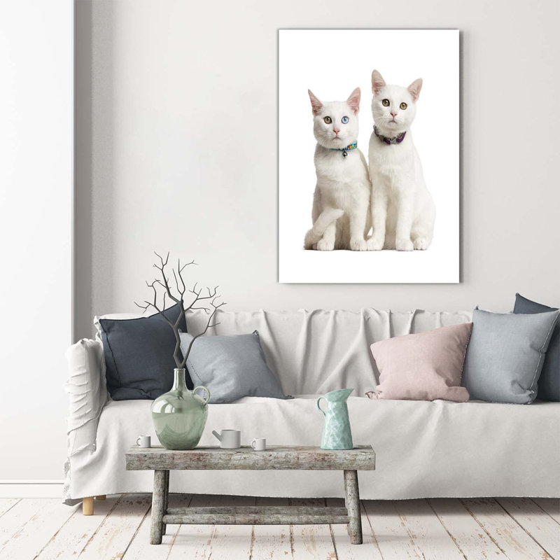 Two White Cats - Wrapped Canvas Print