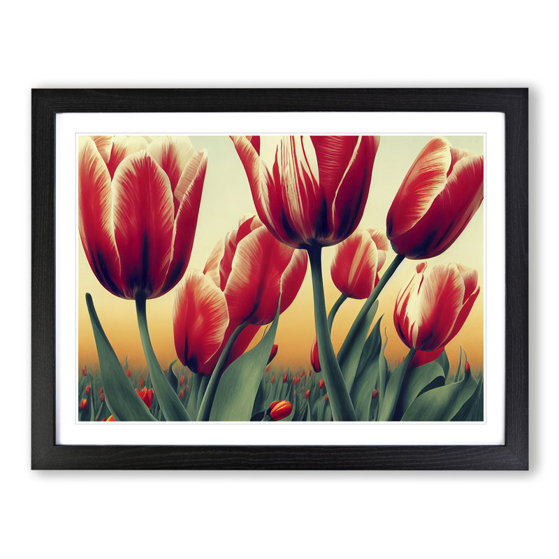 Tulip Flowers - Single Picture Frame Print, Black Framed, 46cm H x 64cm W x 2cm D