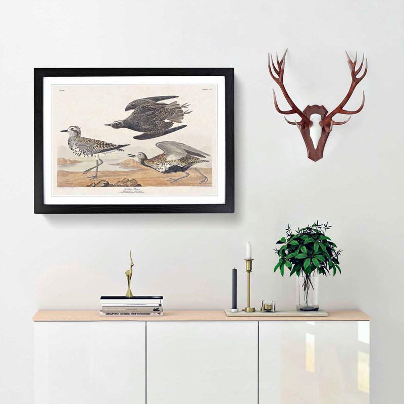 Golden Plover Birds by John Audubon - Framed Print, 36cm H x 48cm W x 2cm D, Black Framed