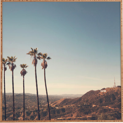 " Hollywood Hills " by Catherine McDonald