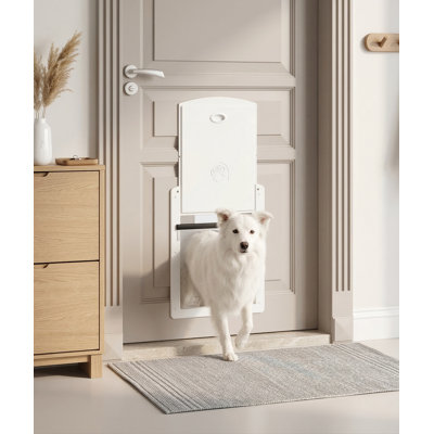Pet Door with White Frame for Medium Dogs, Durable Plastic, Sliding Lock Panel, Magnetic Soft Flap, for Animals Up to 25 lbs