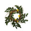 24" Artificial Green and Yellow Salal Leaf Lemon Wreath