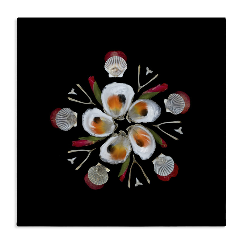 «Nautical Oysters Mandala», conception par Beth Adoette, H 30 po x l 30 po