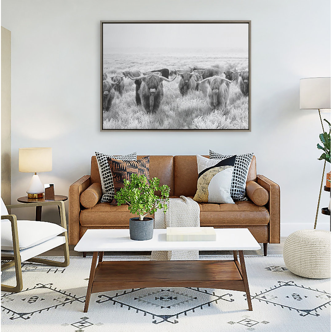 Herd of Highland Cows Black and White by The Creative Bunch Studio Framed Canvas Wall Art Print Lark Manor™ 