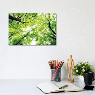 Panoramic Images - Wrapped Canvas Print