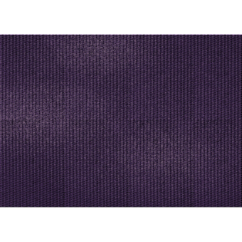Indoor Rug, Runner 2' x 5'