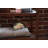 Organic Pet Bed with Washable Waterproof Cover-98421453
