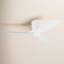 Ventilateur de plafond avec lumières DEL Aisling-88061688-88061693-88061694