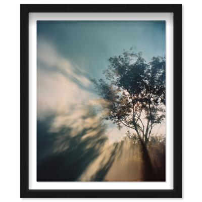 Golden Sunbeams II Framed Graphic Art